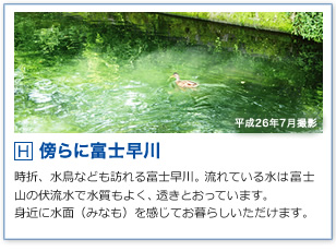 H.傍らに富士早川 時折、水鳥なども訪れる富士早川。流れている水は富士山の伏流水で水質もよく、透きとおっています。
	身近に水面（みなも）を感じてお暮らしいただけます。